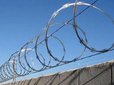 Caliente de alta calidad sumergido galvanizó la malla del alambre de púas de la maquinilla de afeitar del diamante que la subida anti soldó con autógena la cerca de alambre acordeón de la maquinilla de afeitar de la cuchilla