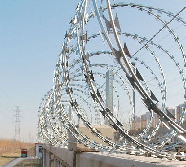 Electro Galvanized1.5mmx1.5mm Malla de alambre de navaja soldada con diamante 3