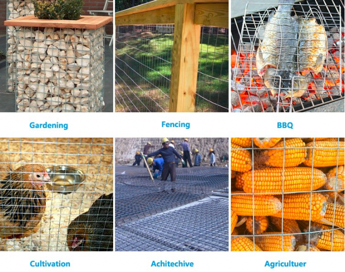 el rollo sumergido caliente de la malla de alambre soldada con autógena de los 6ft galvanizó el cercado de la malla soldada con autógena 2