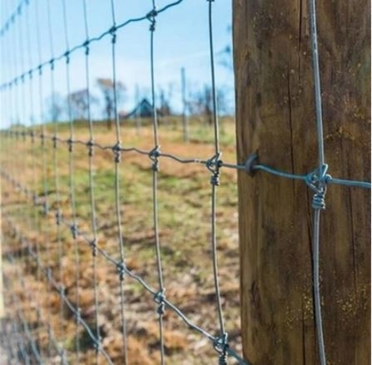 farm fence livestock sheep wire mesh fence  cattle wire fence metal farm fence	  chicken wire fence