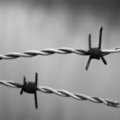 16G galvanized wire barbed fencing 100m, 250m 500m 1.6mm barbed wire fence price per roll