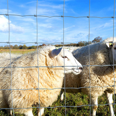 farm fence livestock sheep wire mesh fence  cattle wire fence metal farm fence	  chicken wire fence